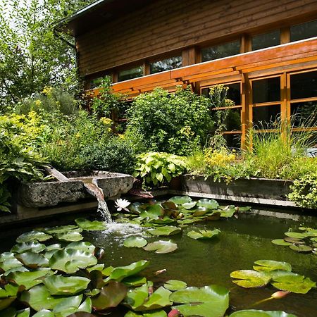 Le Clos Chedeville Chartres Eksteriør billede